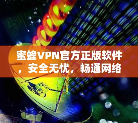 蜜蜂VPN官方正版软件，安全无忧，畅通网络