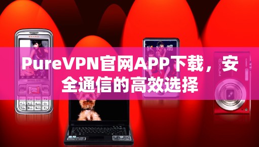 PureVPN官网APP下载，安全通信的高效选择